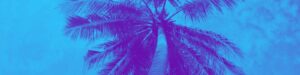 Palmtree